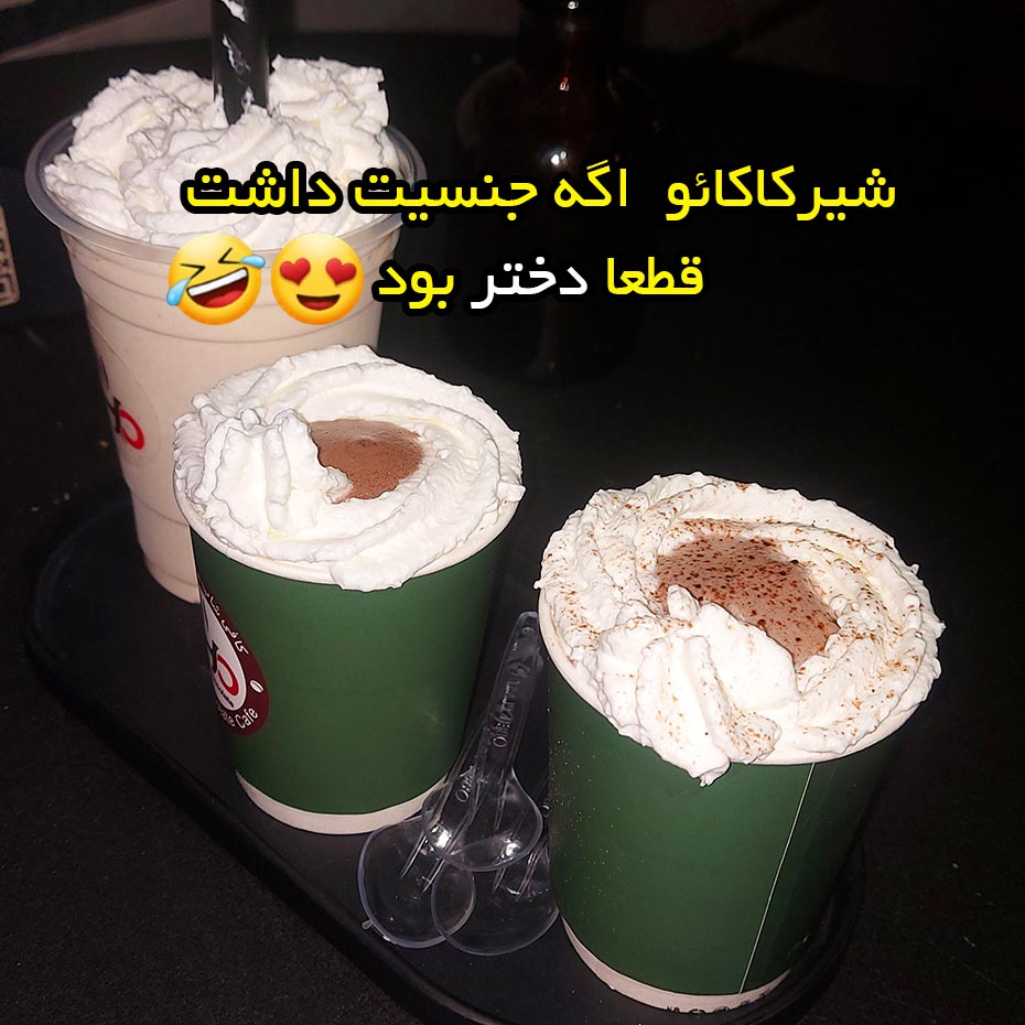 شیرکاکائو اگه جنسیت داشت قطعا دختر بود