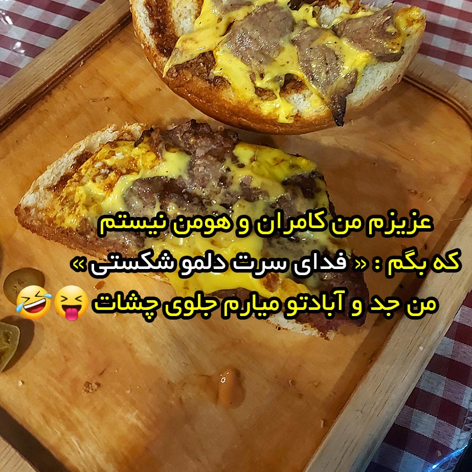 عزیزم من کامران و هومن نیستم که بگم فدای سرت