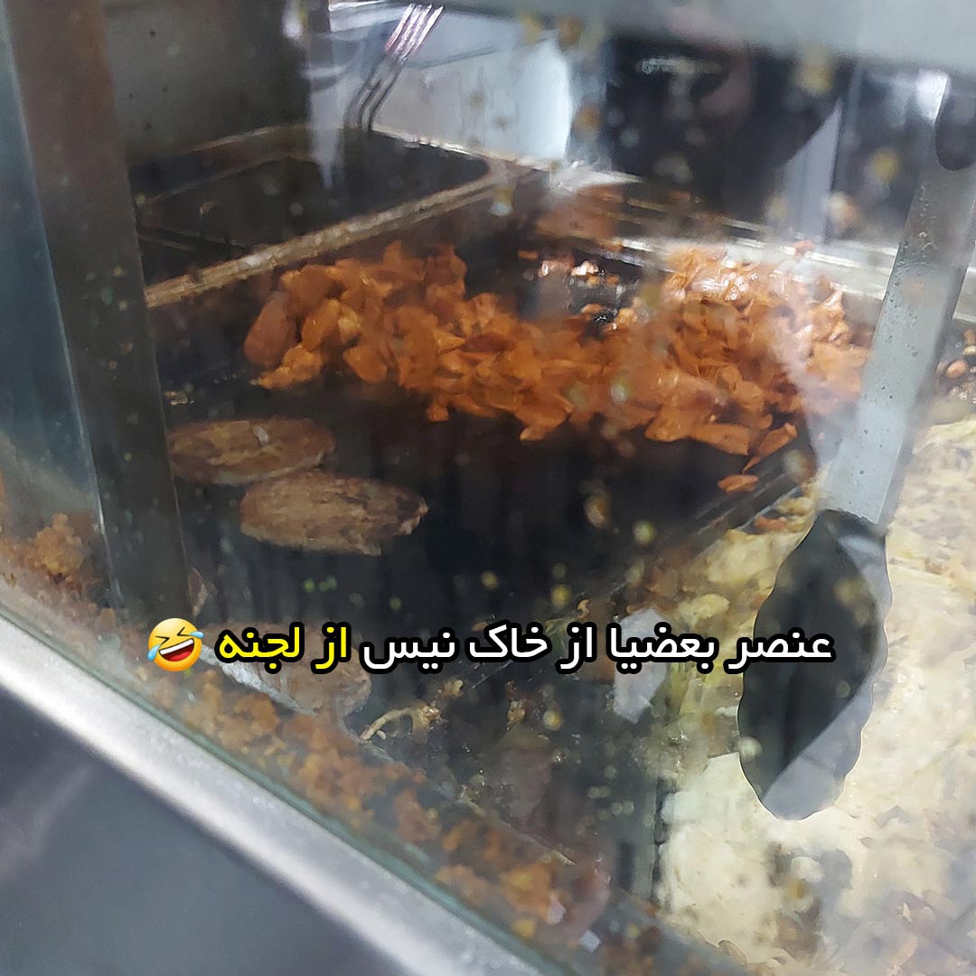 عنصر بعضیا از خاک نیس از لجنه