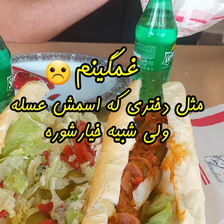 غمگینم مثل دختری که اسمش عسله ولی شبیه خیارشوره