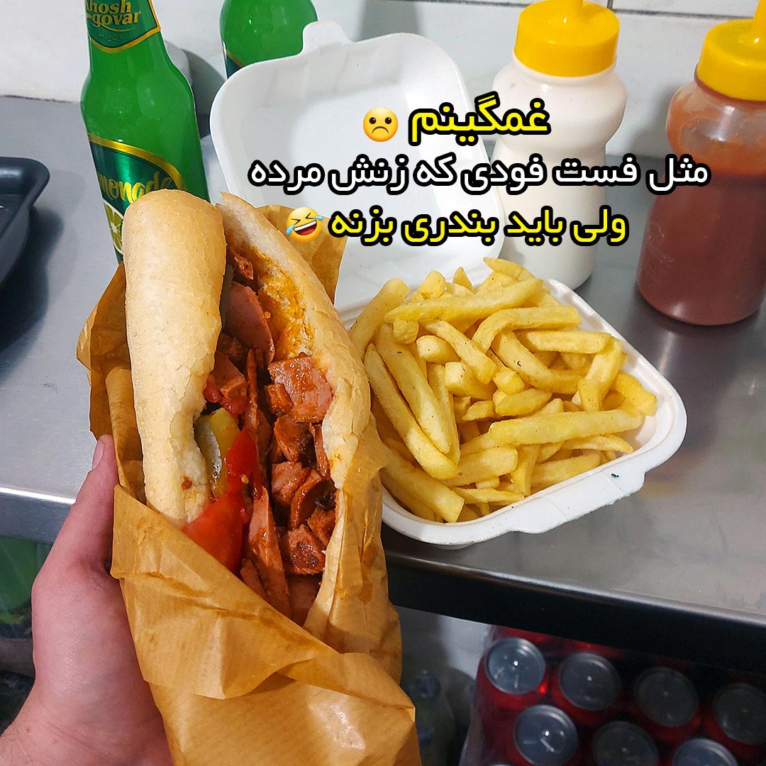 غمگینم مثل فست فودی که زنش مرده ولی باید بندری بزنه