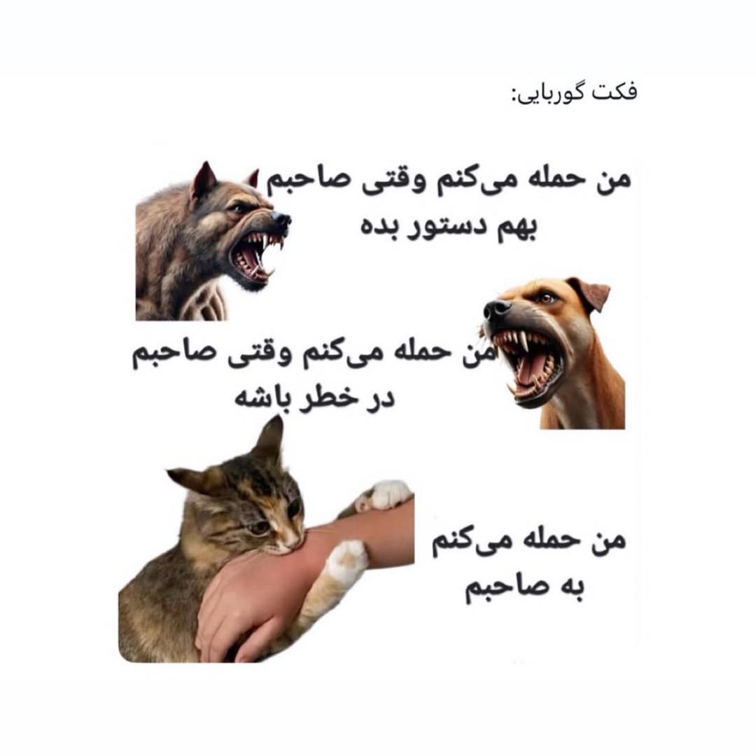 فکت گوربایی من حمله میکنم به صاحبم
