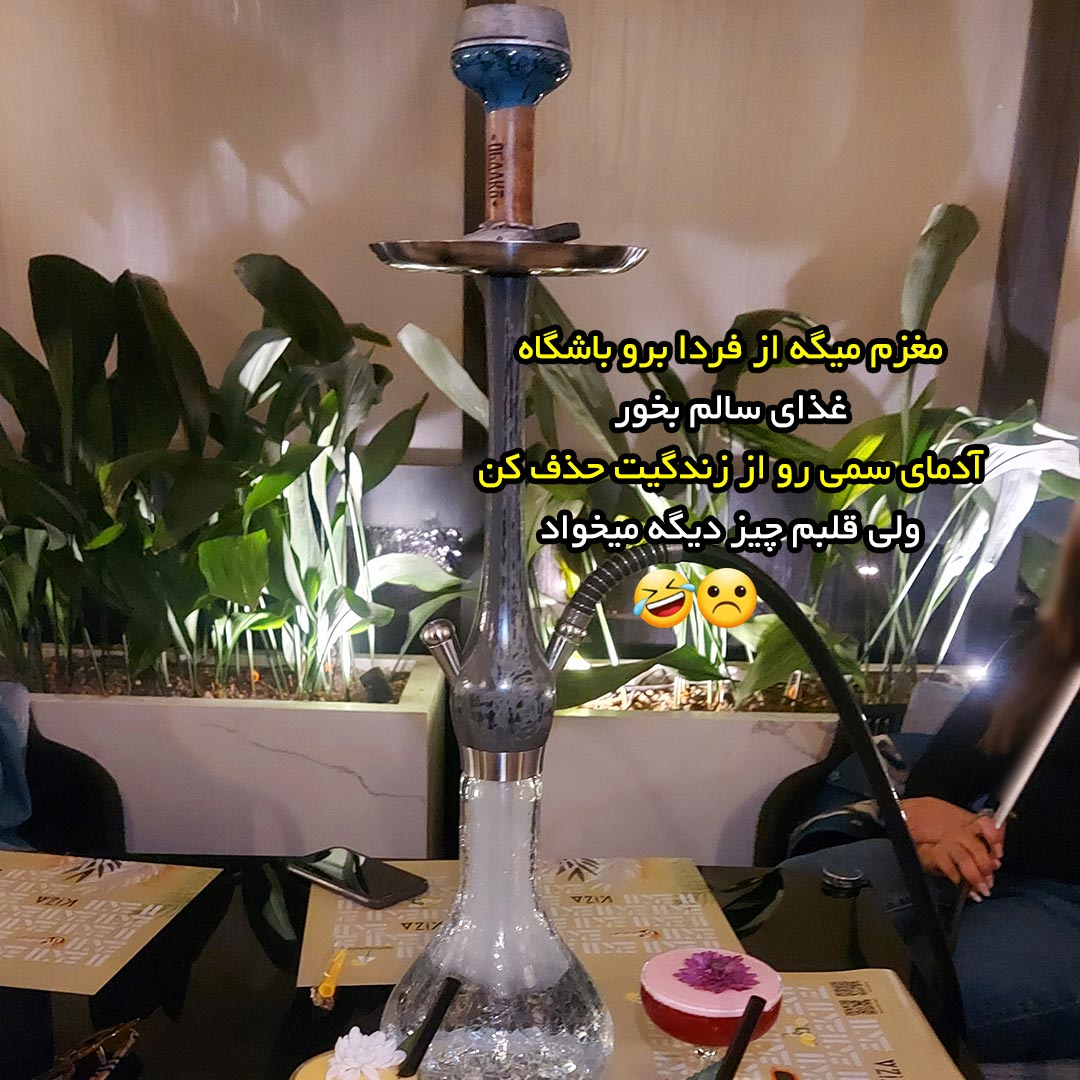 قلبم میگه از فردا برو باشگاه غذای سالم بخور