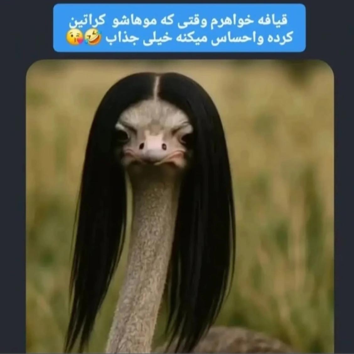قیافه خواهرم وقتی که موهاشو کراتین کرده