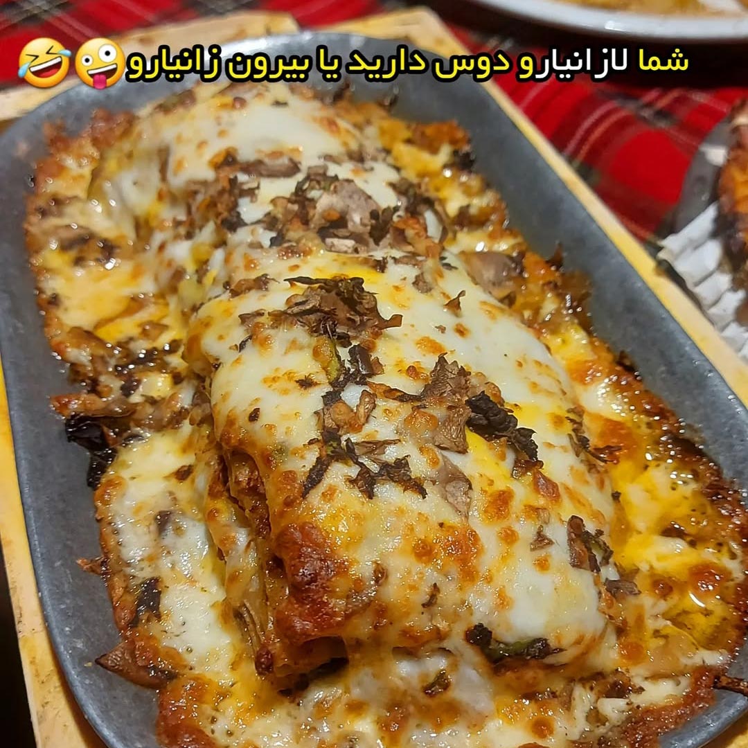 لازانیارو دوس دارید یا بیرون زانیارو