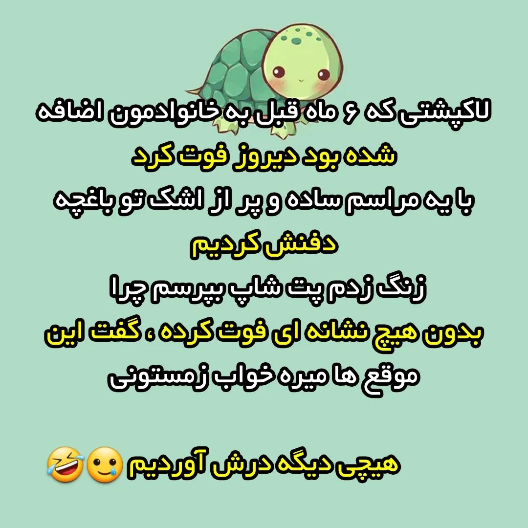 لاکپشتی که 6 ماه قبل به خانوادمون اضافه شده بود دیروز فوت کرد