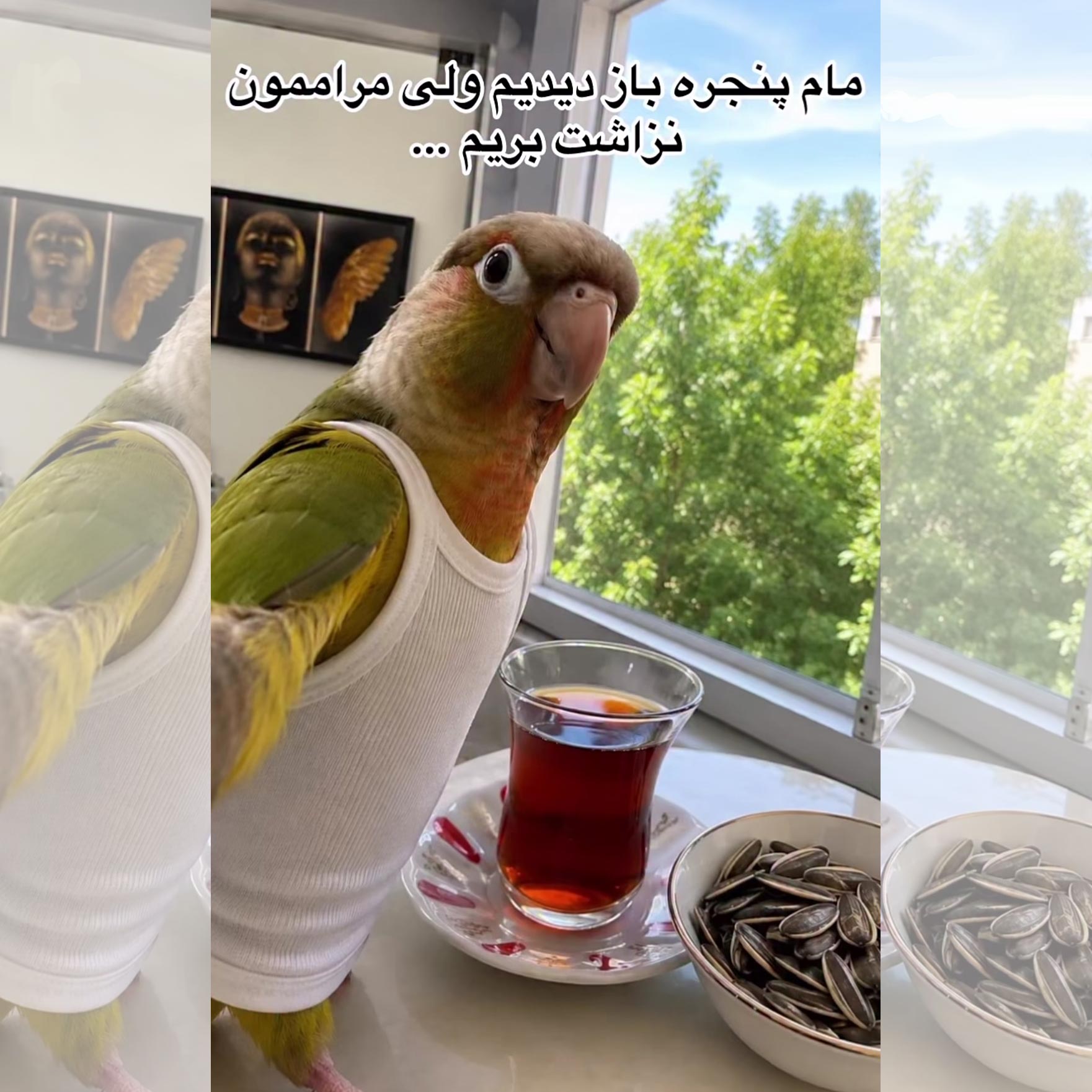 مام پنجره باز دیدیدم ولی مراممون نزاشت بریم