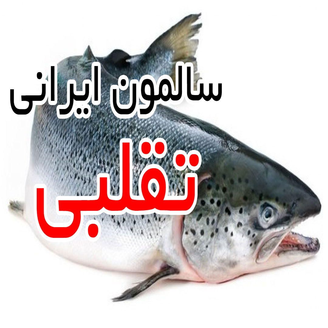 ماهی سالمون ایرانی تقلبی