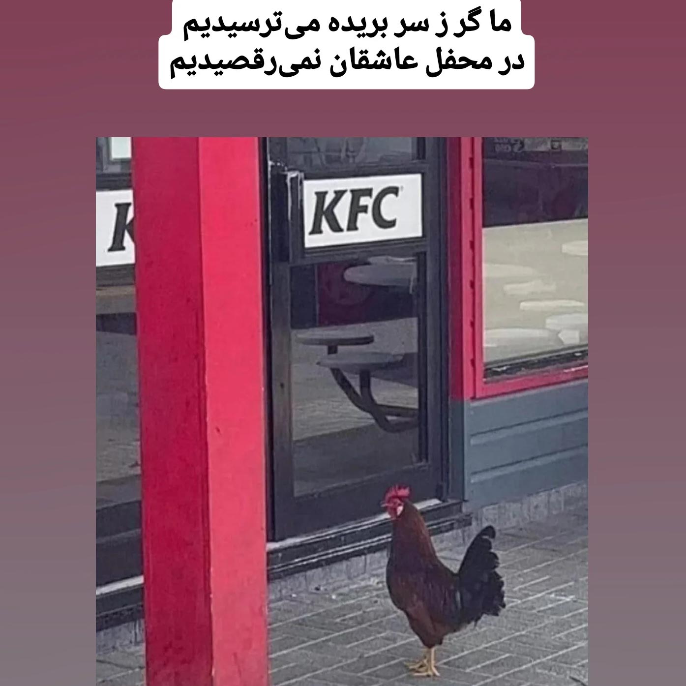 ما گر ز سر بریده می ترسیدیم در محفل عاشقان نمی رقصیدیم
