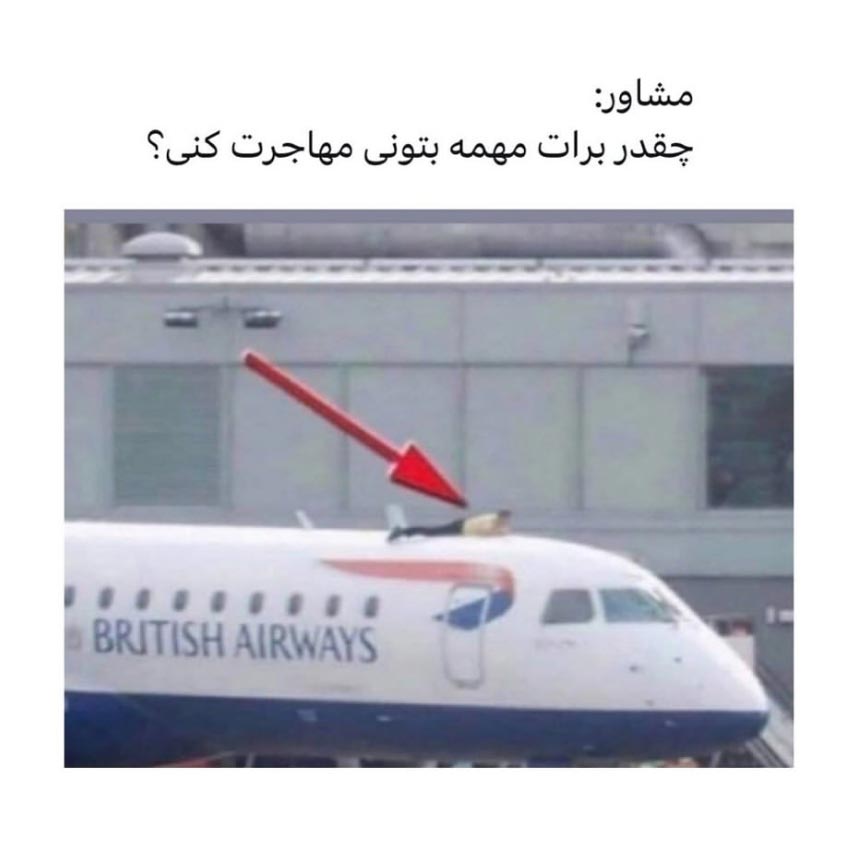 مشاور چقدر برات مهمه بتونی مهاجرت کنی ؟