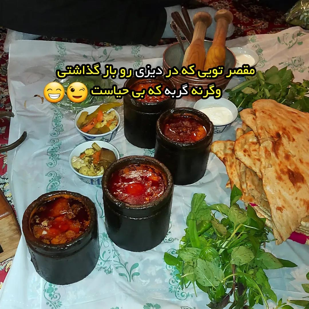 مقصر تویی که در دیزی رو باز گذاشتی وگرنه گربه که بی حیاست
