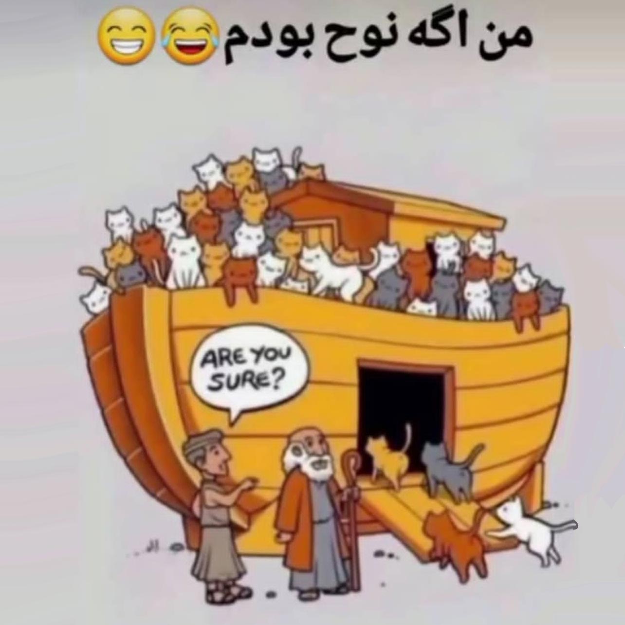 من اگه نوح بودم به جا همه حیوانات تو کشتی گربه میبردم