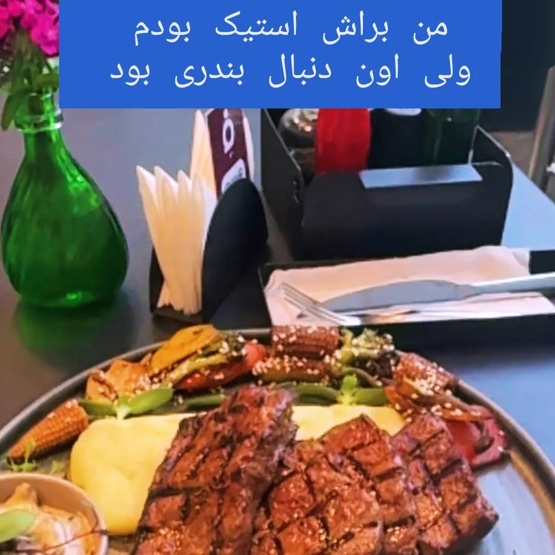 من براش استیک بودم ولی اون دنبال بندری بود