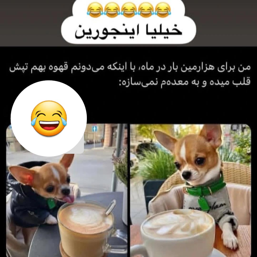 من برای هزارمین بار در ماه با اینکه میدونم قهوه بهم تپش قلب میده
