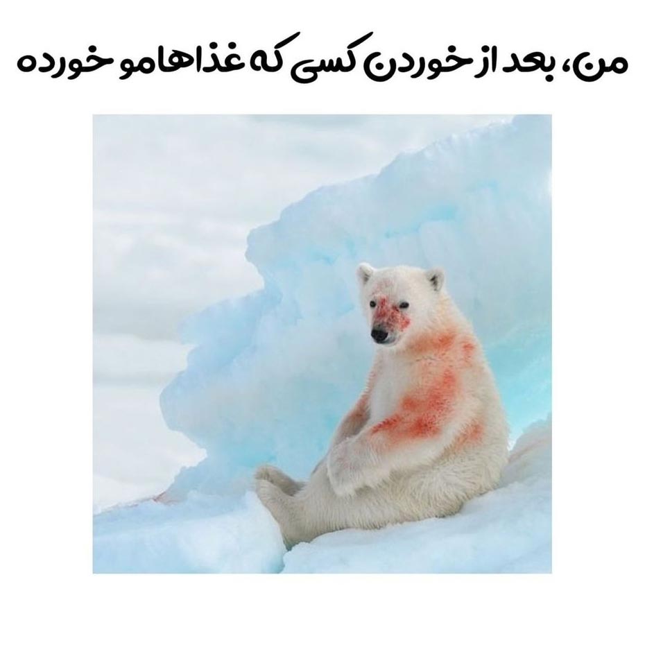 من بعد از خوردن کسی که غذاهامو خورده