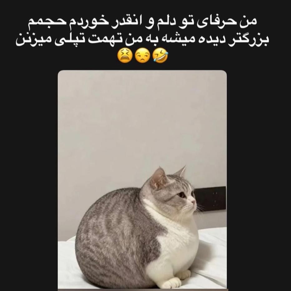 من حرفای تو دلم و انقدر خوردم حجمم بزرگتر دیده میشه به من تهمت تپلی میزنن