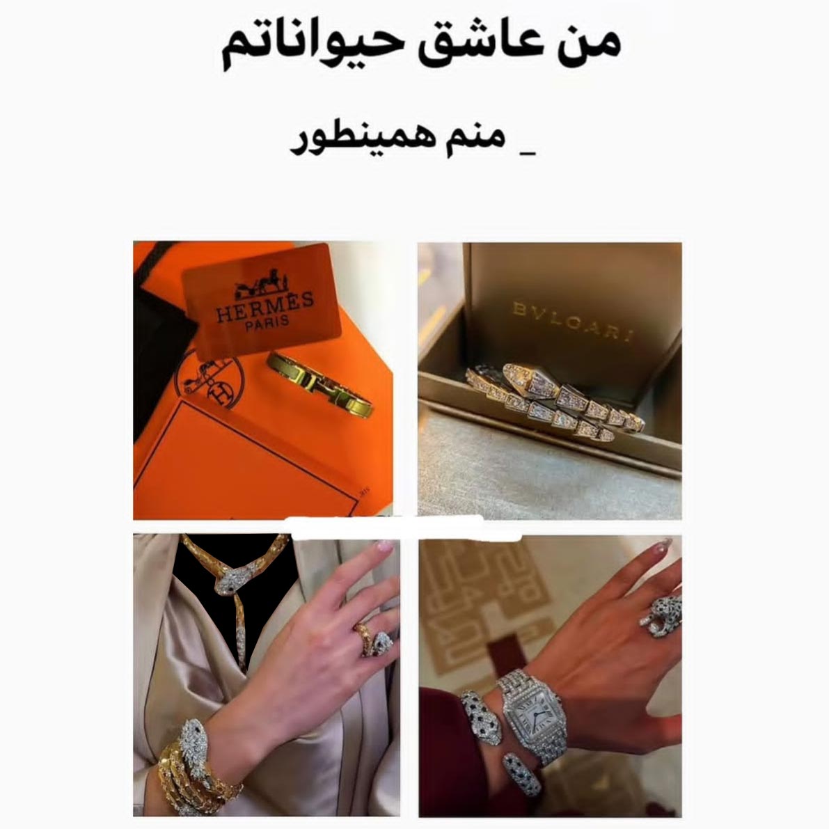 من عاشق حیواناتم منم همینطور