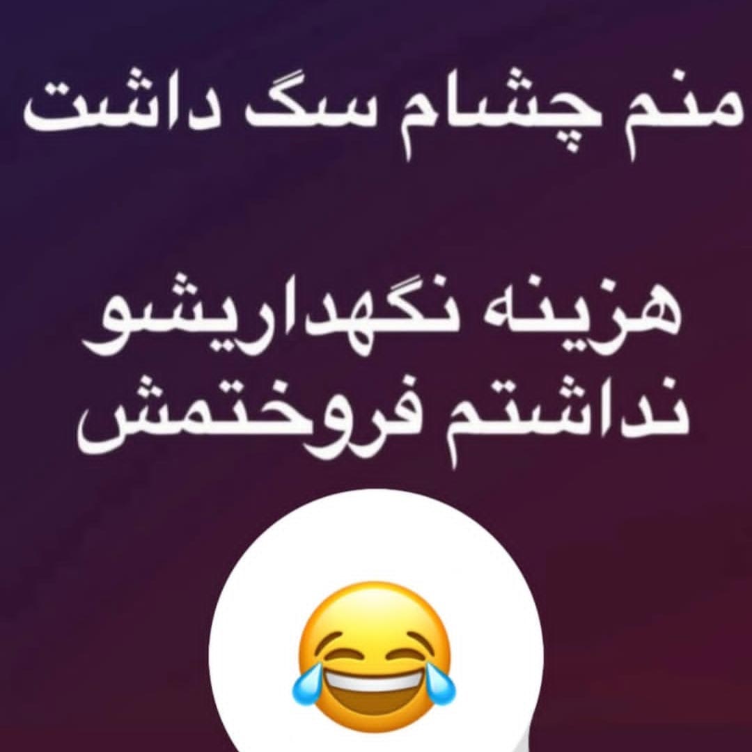 منم چشام سگ داشت