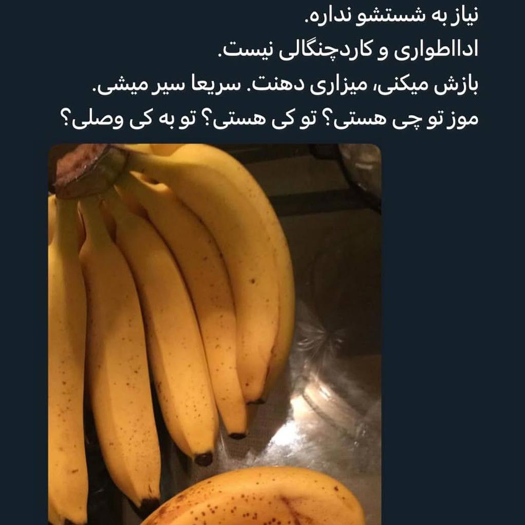 موز تو چی هستی ؟ تو کی هستی ؟ تو به کی وصلی ؟