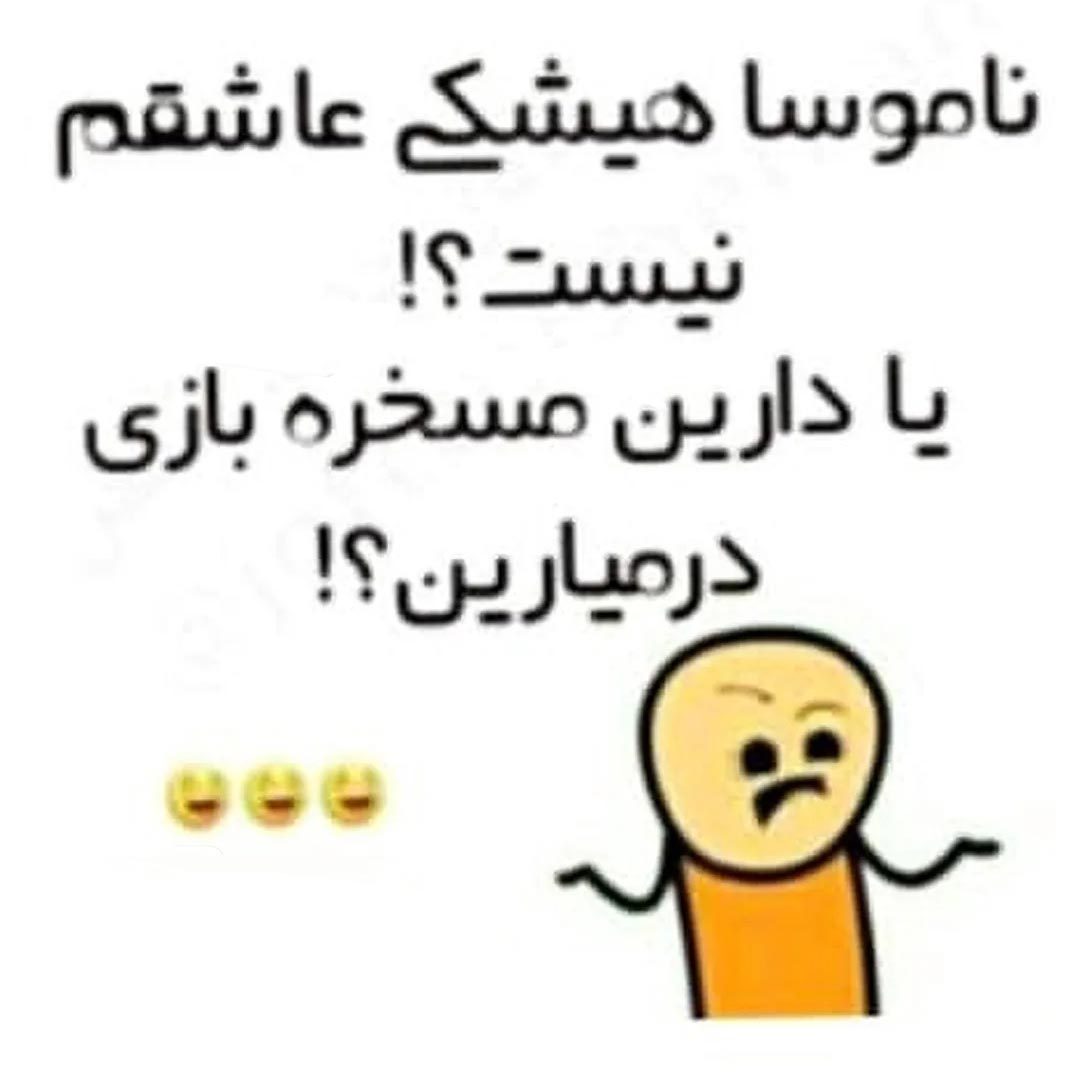 ناموسا هیشکی عاشقم نیست یا دارین مسخره بازی درمیارین ؟