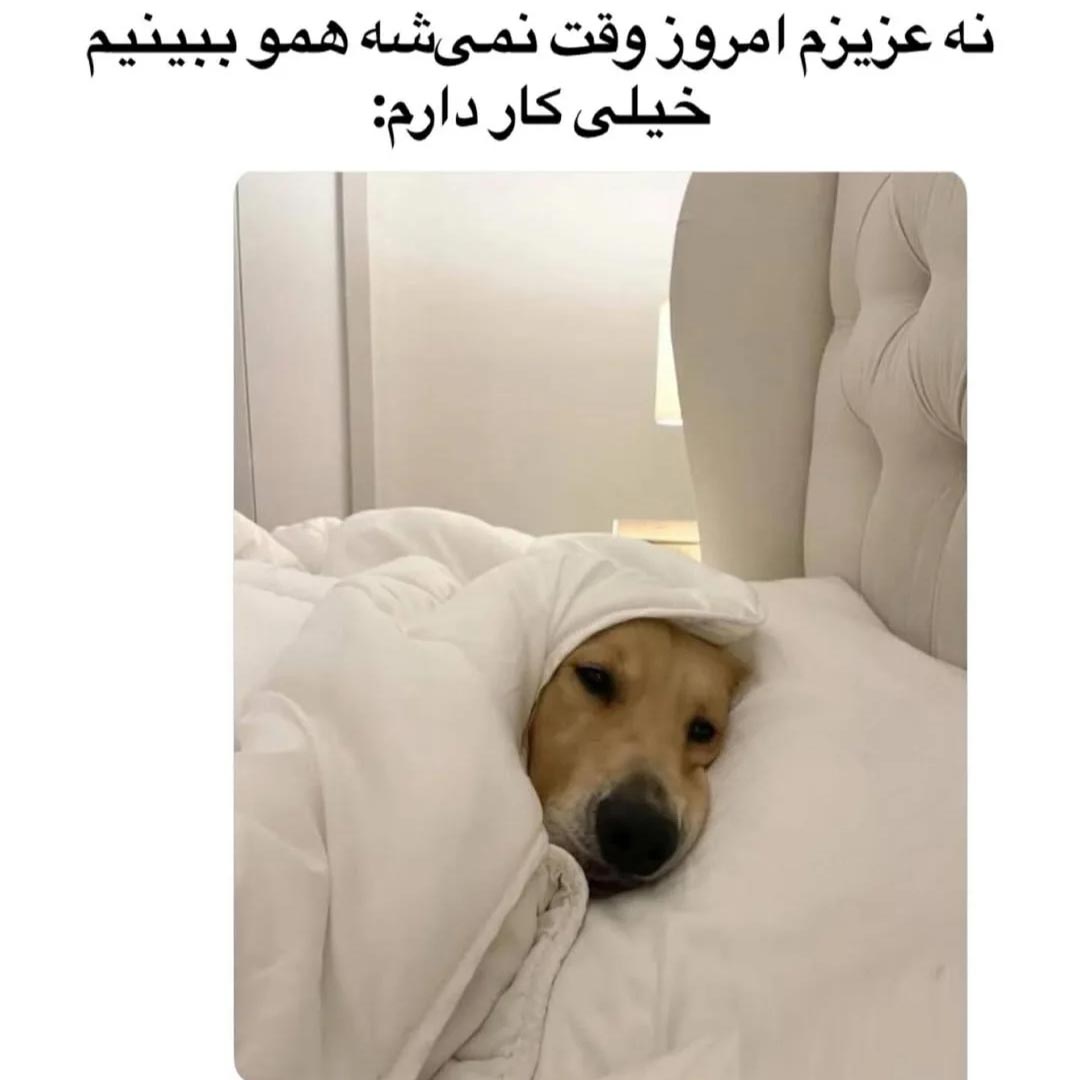 نه عزیزم امروز وقت نمیشه همو ببینیم خیلی کار دارم