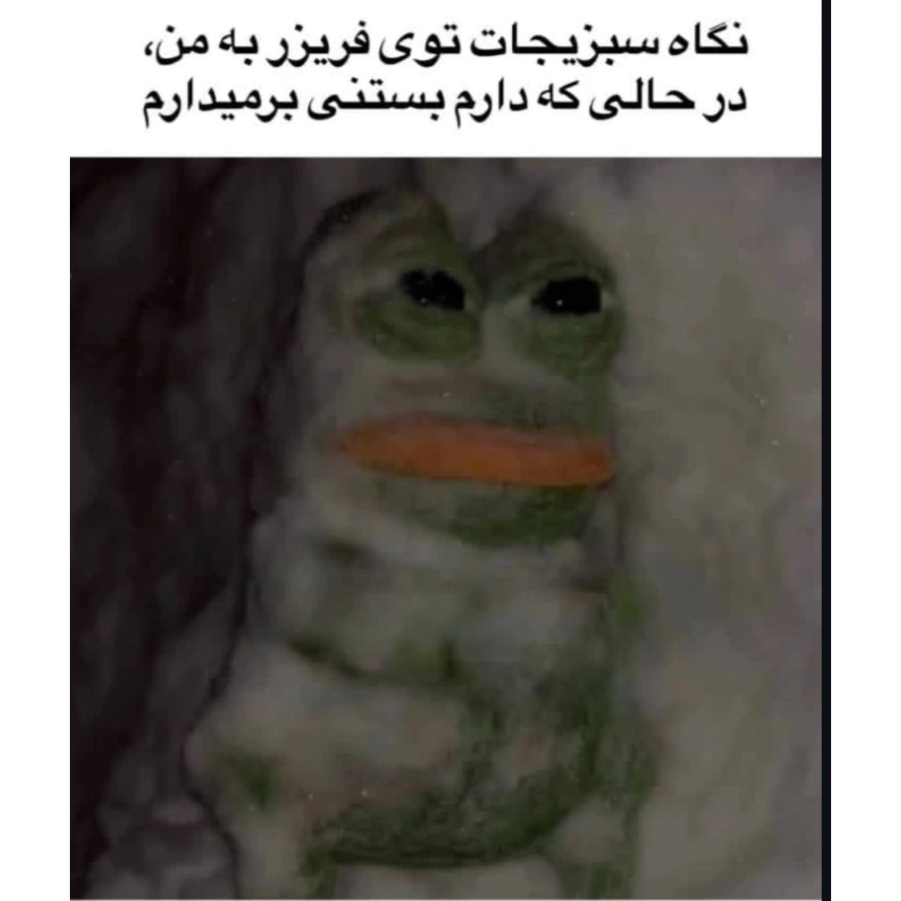 نگاه سبزیجات توی فریزر به من در حالی که دارم بستنی برمیدارم