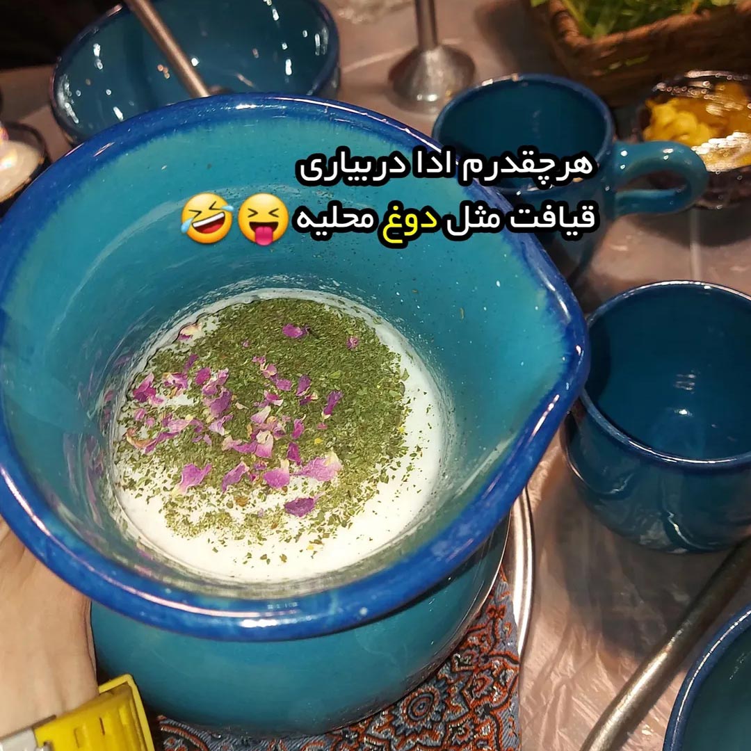 هرچقدرم ادا دربیاری قیافت مثل دوغ محلیه