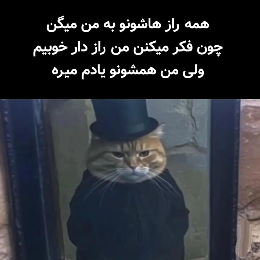 همه رازهاشونو به من میگن چون فکر میکنن من رازدار خوبیم ولی من همشونو یادم میره