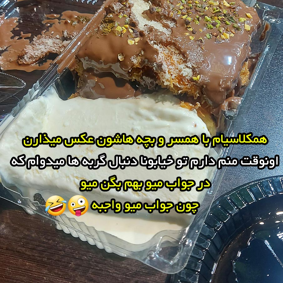 همکلاسیام با همسر و بچه هاشون عکس میذارن اونوقت منم دارم تو خیابونا دنبال گربه ها میدوام