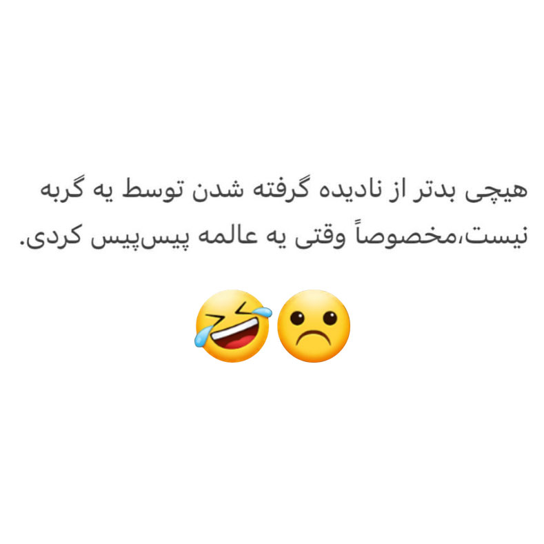 هیچی بدتر از نادیده گرفته شدن توسط یه گربه نیست