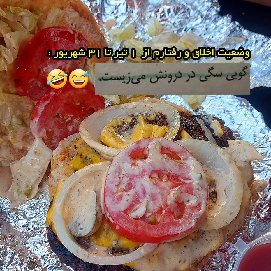 وضعیت اخلاق و رفتارم از 1 تیر تا 31 شهریور گویی سگی در درونش میزیست