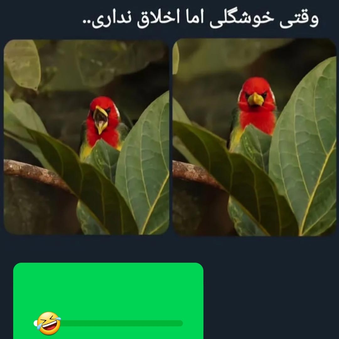 وقتی خوشگلی اما اخلاق نداری