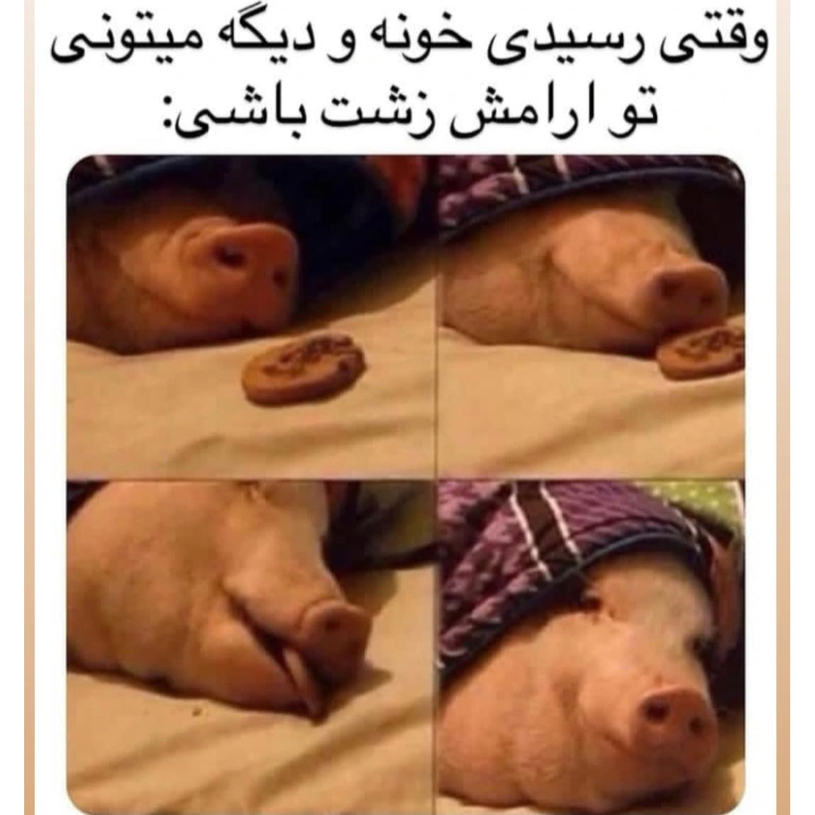 وقتی رسیدی خونه و دیگه میتونی تو آرامش زشت باشی