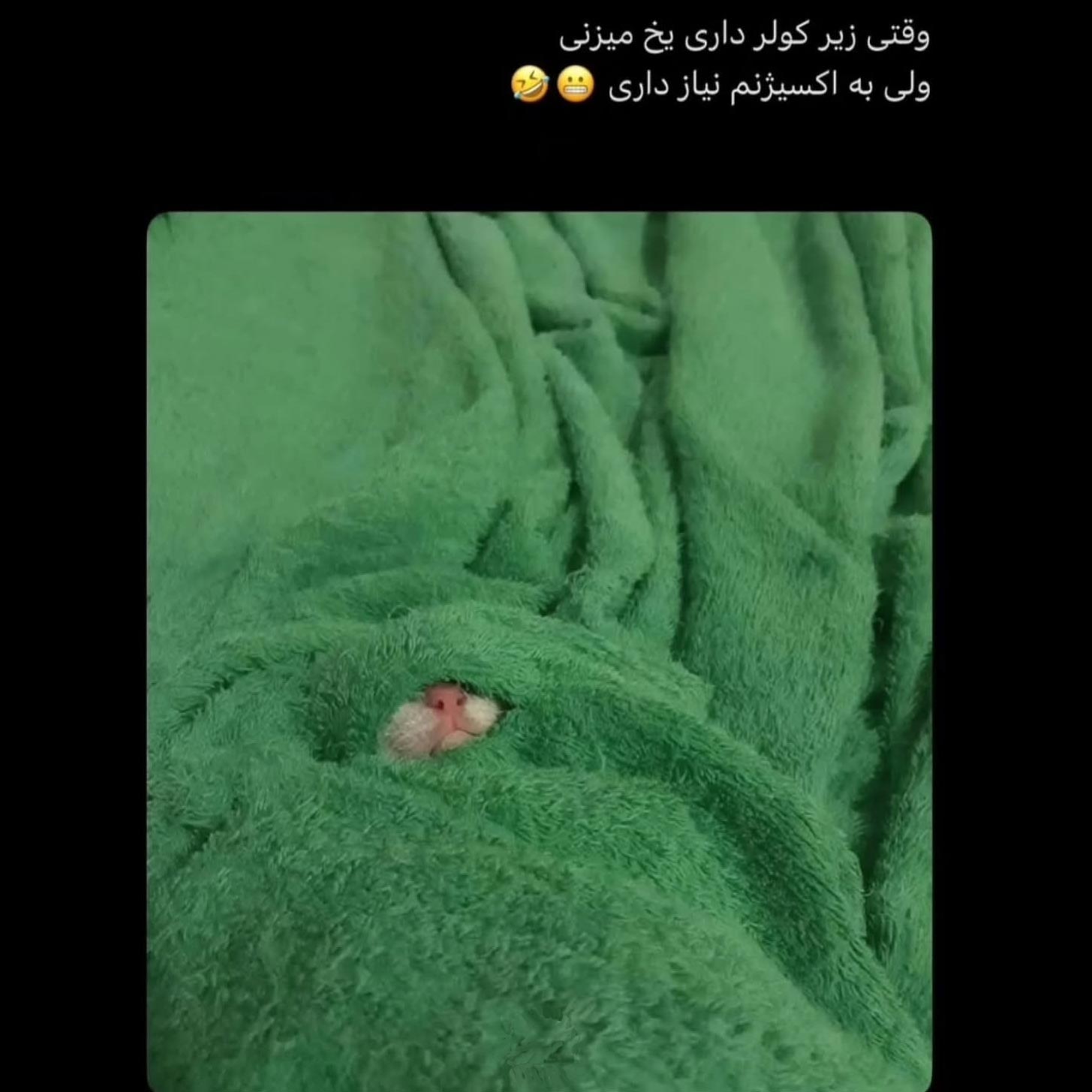 وقتی زیر کولر داری یخ میزنی