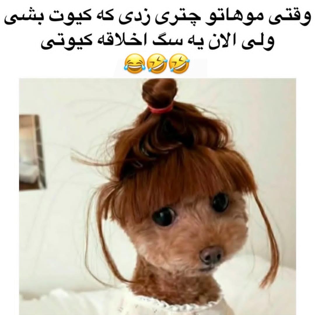 وقتی موهاتو چتری زدی که کیوت بشی
