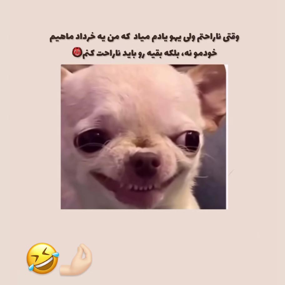 وقتی ناراحتم ولی یهو یادم میاد که من یه خرداد ماهیم