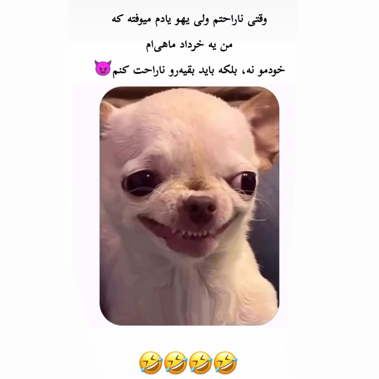 وقتی ناراحتم ولی یهو یادم میوفته که من یه خرداد ماهی ام
