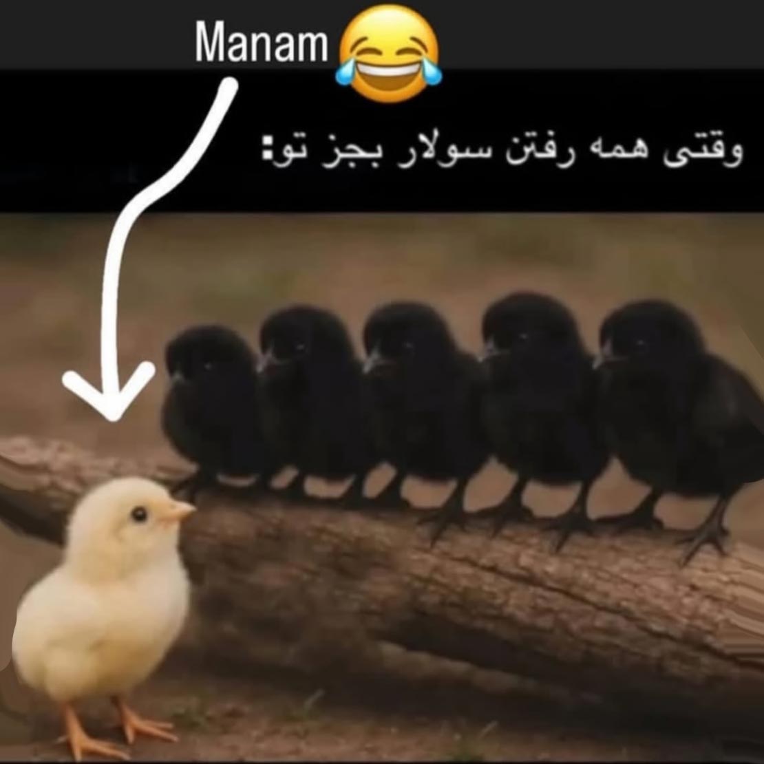 وقتی همه رفتن سولار به جز تو