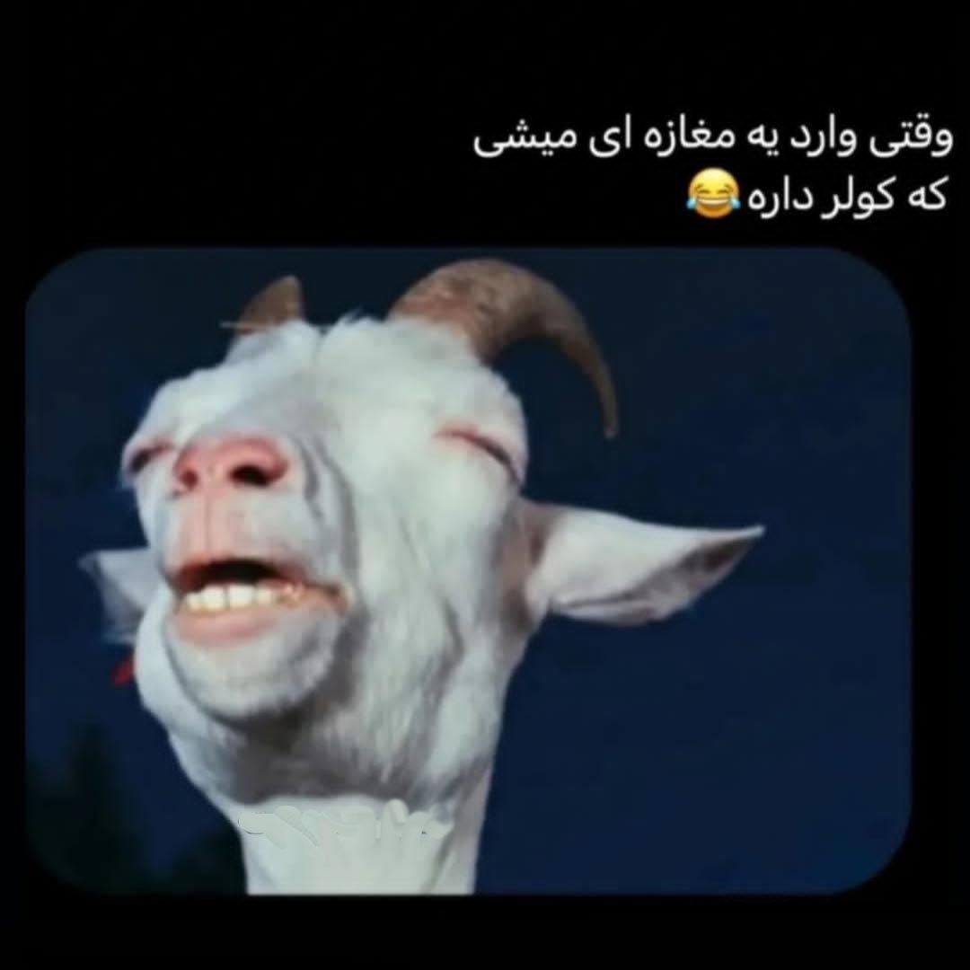 وقتی وارد یه مغازه ای میشی که کولر داره