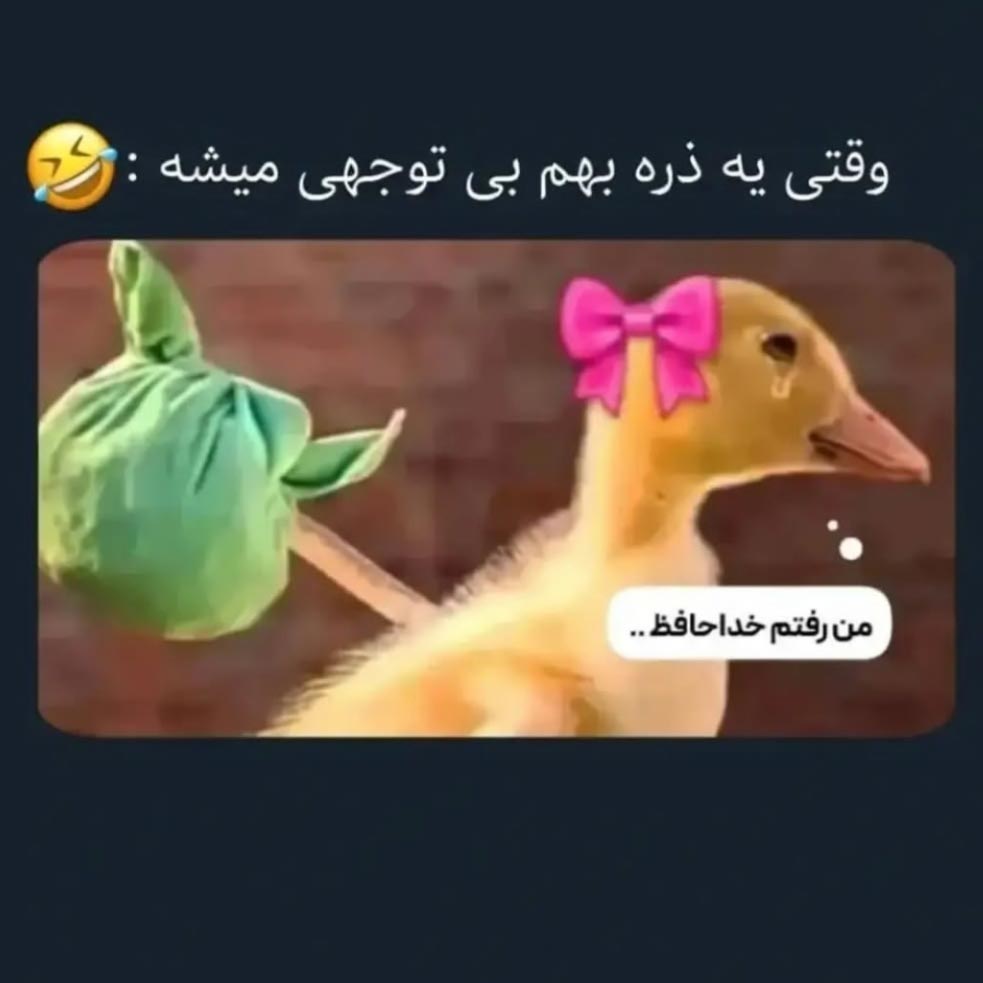 وقتی یه ذره بهم بی توجهی میشه من رفتم خداحافظ جوک