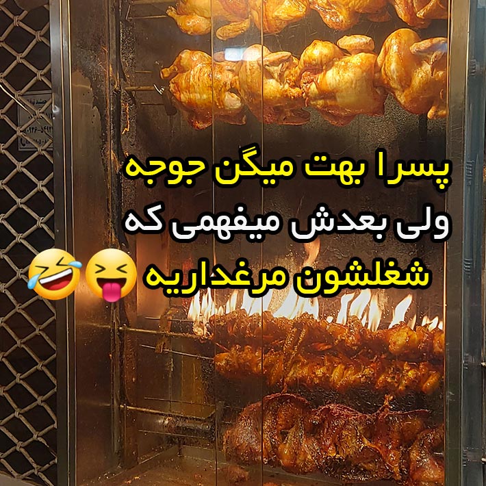 پسرا بهت میگن جوجه ولی بعدش میفهمی که شغلشون مرغداریه