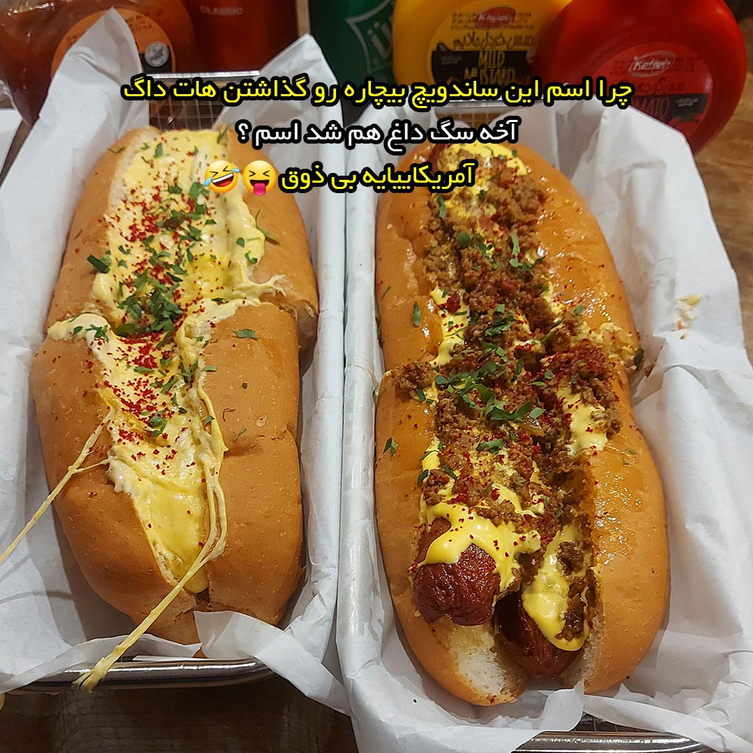 چرا اسم این ساندویچ بیچاره رو گذاشتن هات داگ آخه سگ داغ