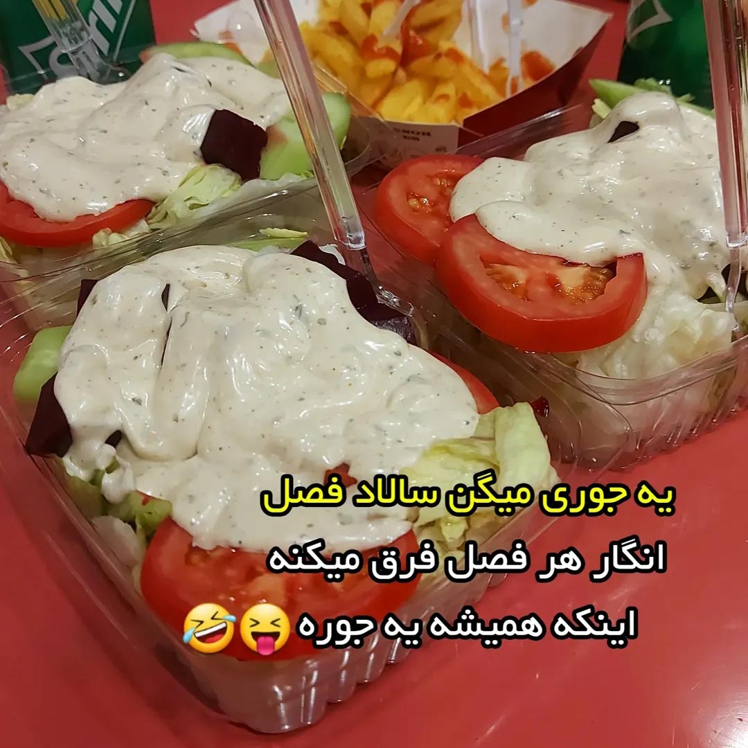 چرا سالاد فصل همه فصلها یه جوره ؟