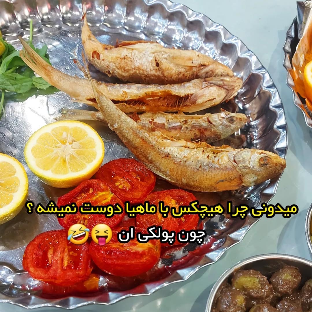 چرا هیچکس با ماهیا دوست نمیشه