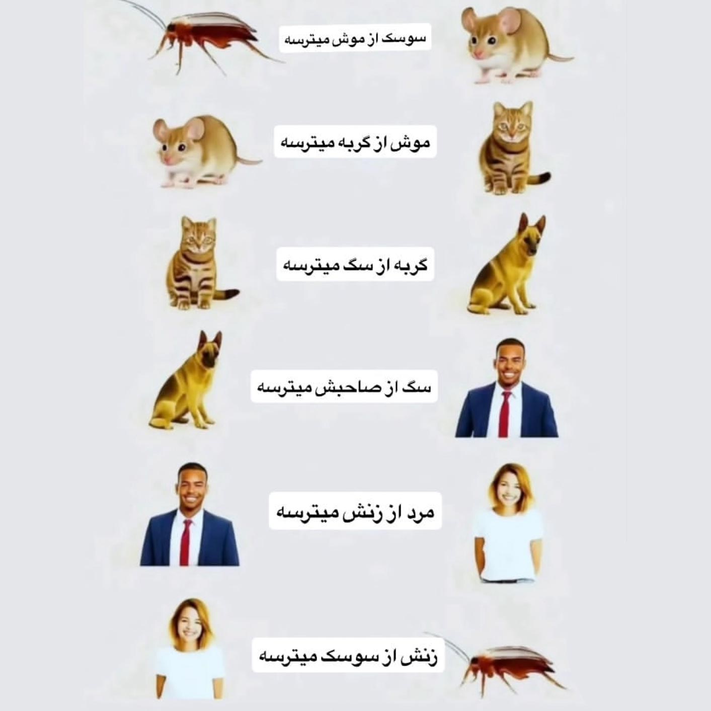 چرخه طبیعت ترسیدن از سوسک