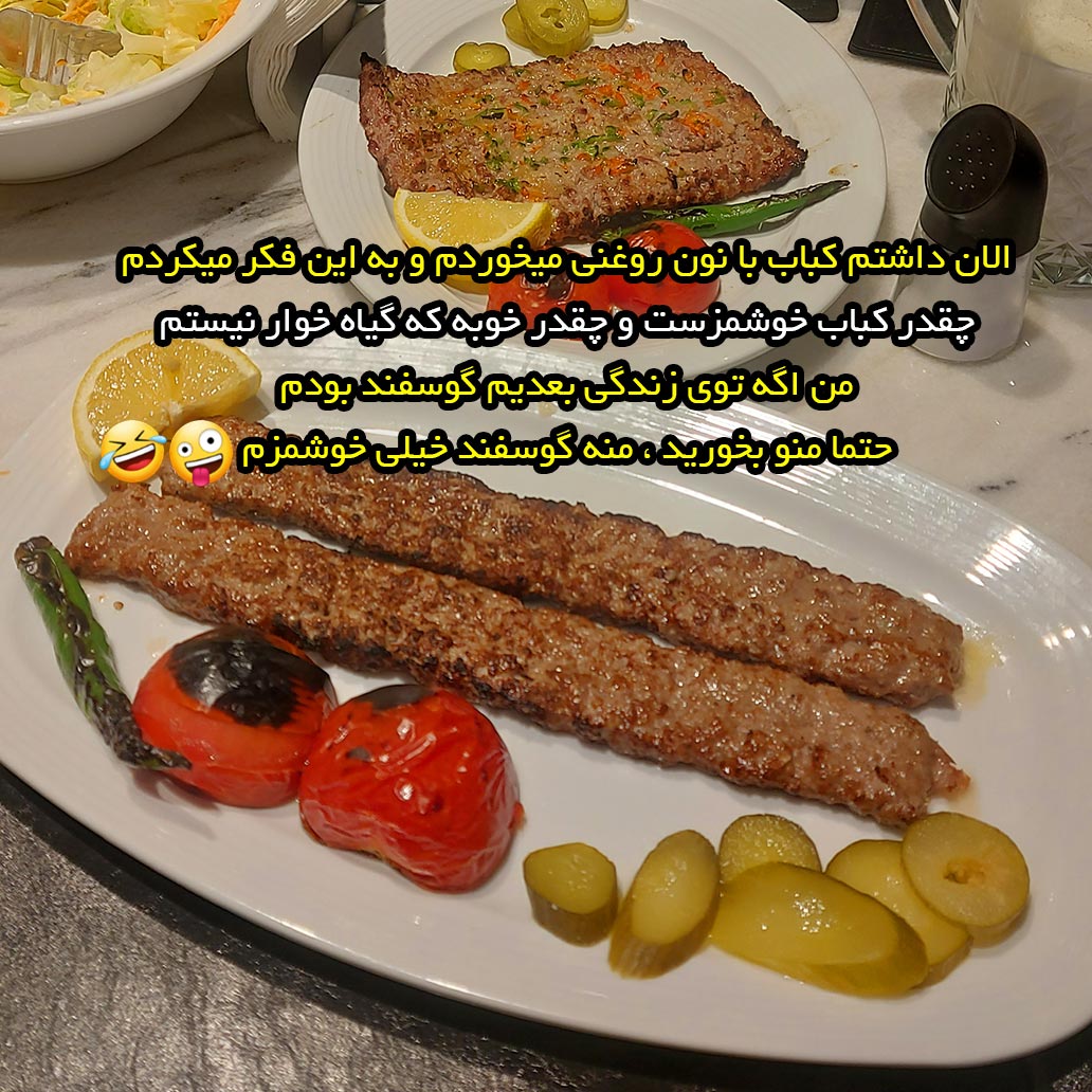 چقدر کباب خوشمزست و چقدر خوبه که گیاه خوار نیستم