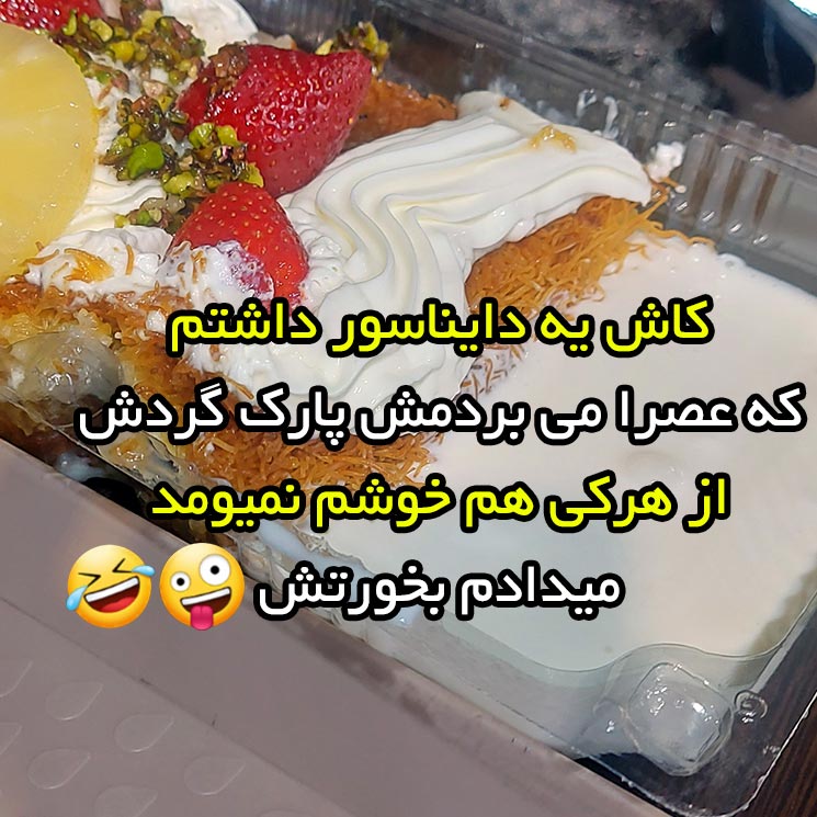 کاش یه دایناسور داشتم که عصرا می بردمش پارک گردش