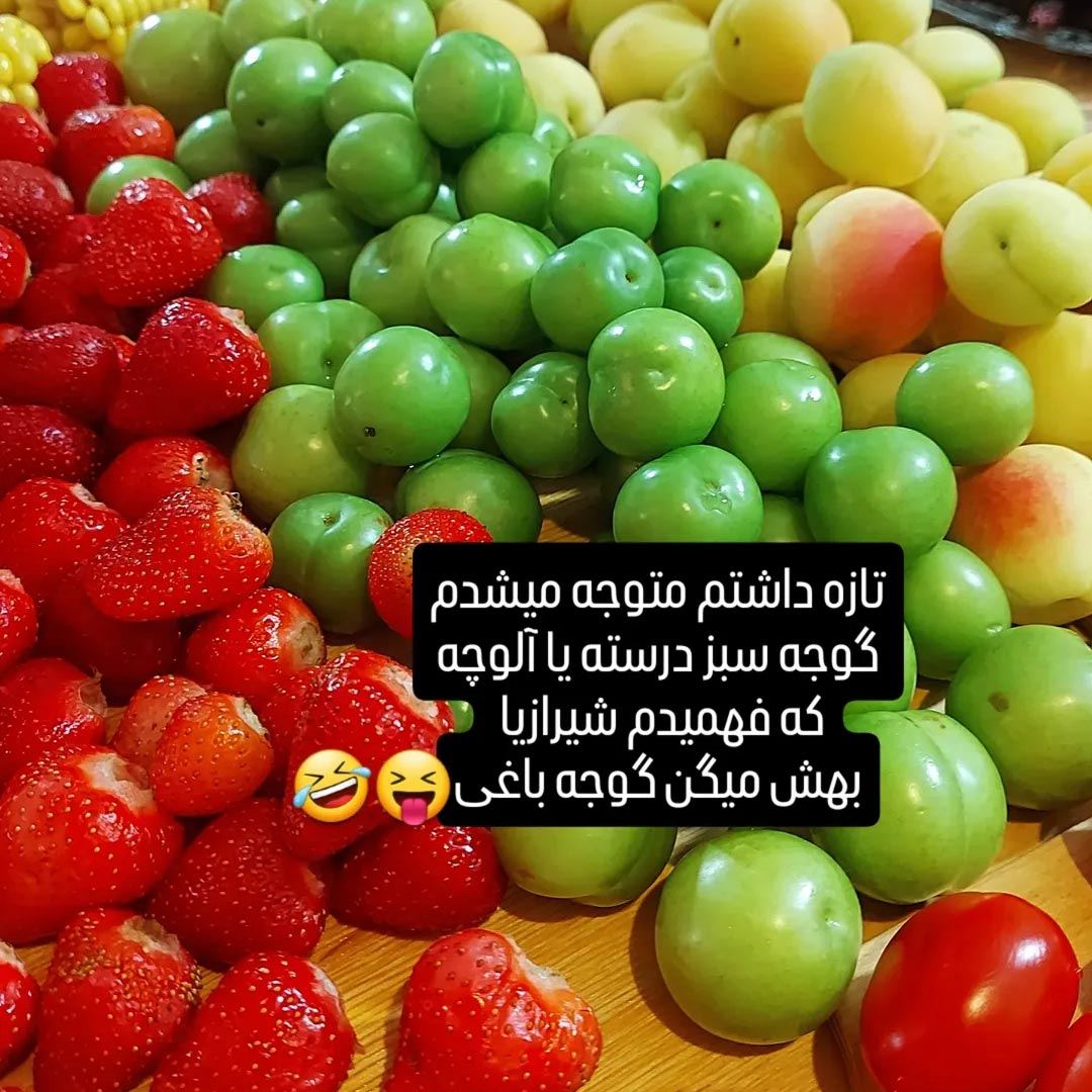 گوجه سبز درسته یا آلوچه