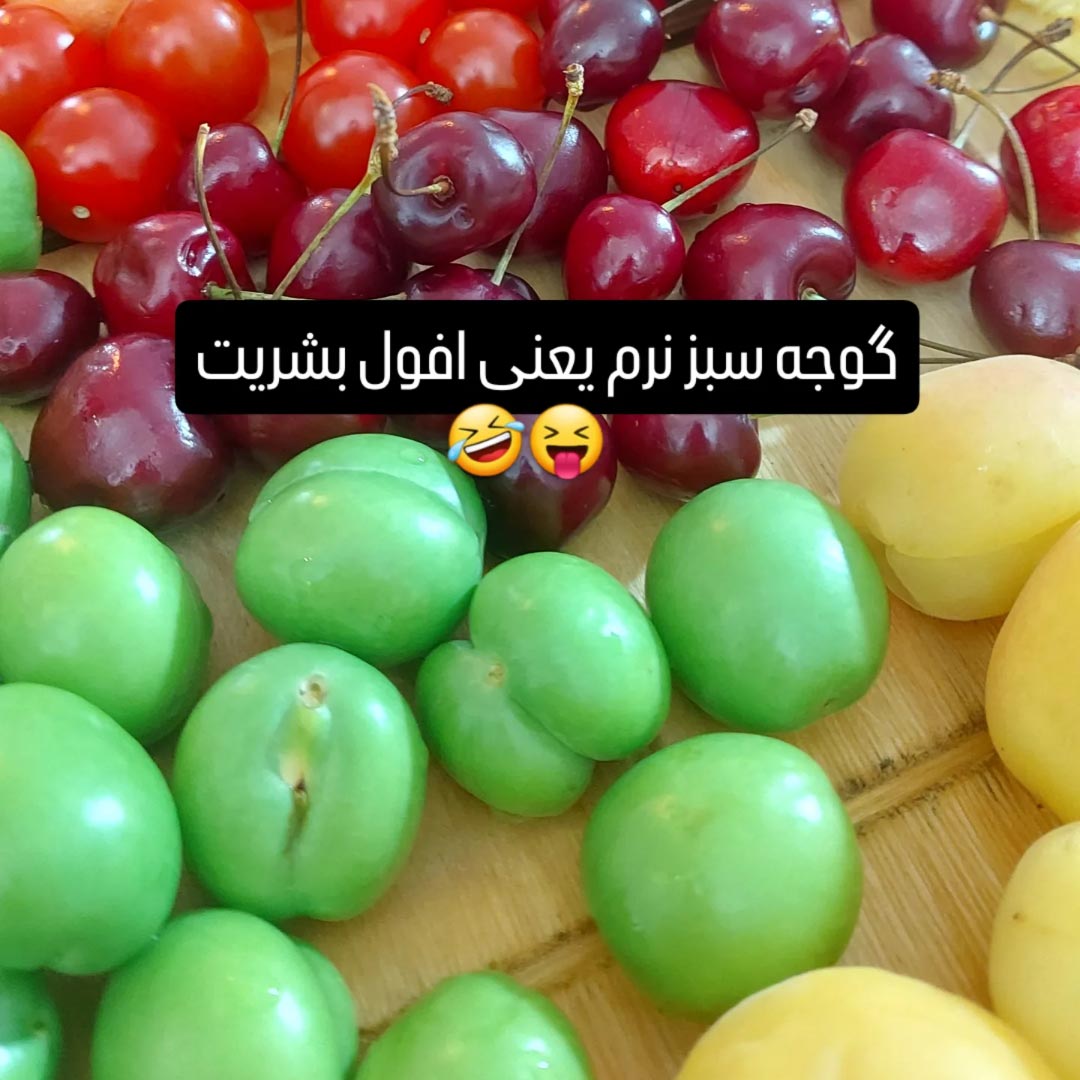 گوجه سبز نرم یعنی افول بشریت