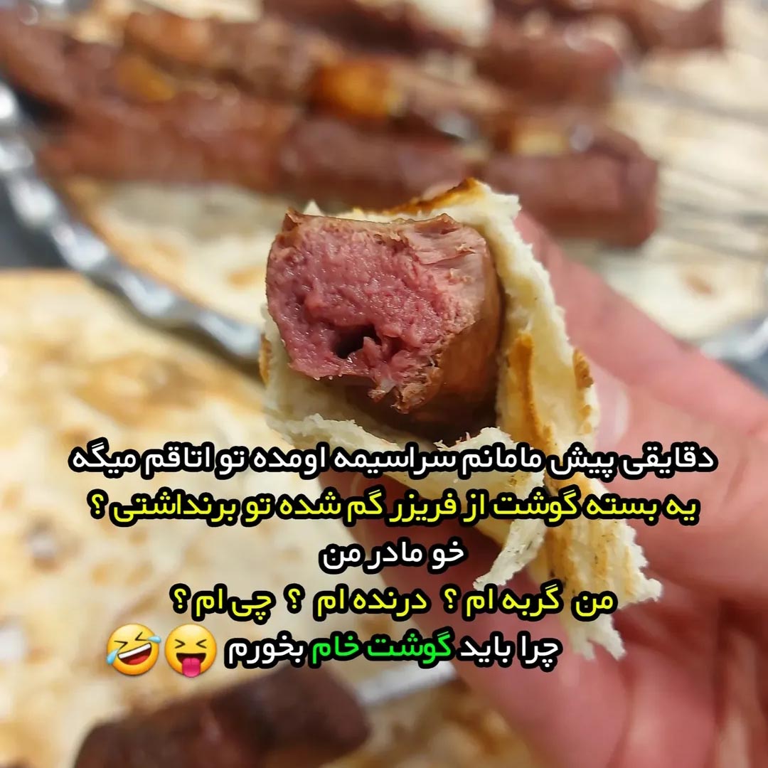 یه بسته گوشت از فریزر گم شده یه بسته گوشت از فریزر گم شده